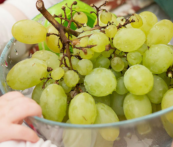 9 Tasty and Fun Sugar Free Snacks for Toddlers