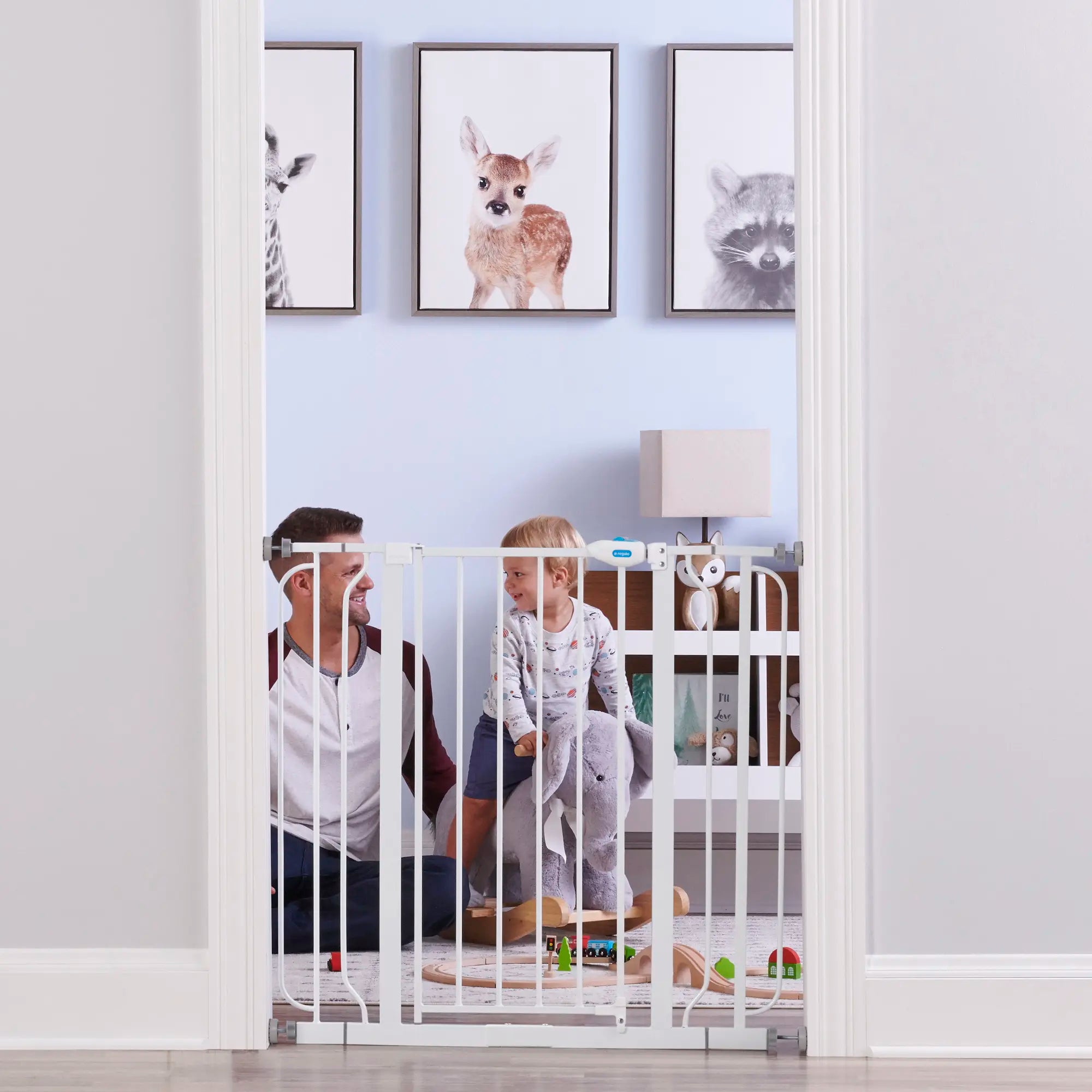 Buy buy sales baby baby gates