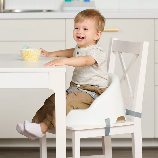 Baby Basics® Booster Seat