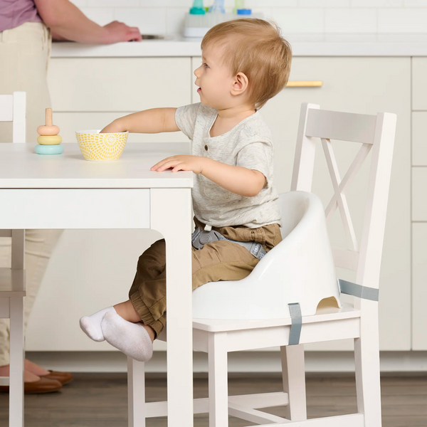 Baby Basics® Booster Seat