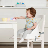 Baby Basics® Booster Seat