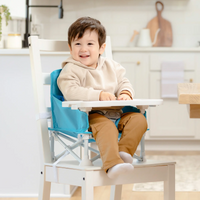 Toddler Sitting in Booster Seat on Chair at Table