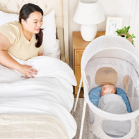 Baby Basics® Infant Bassinet with Canopy