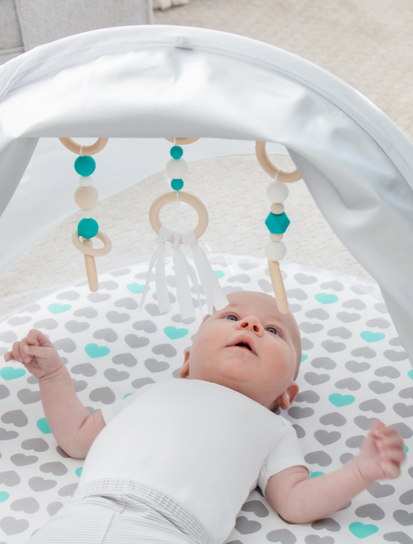 Baby Basics Foldable Infant Play Mat